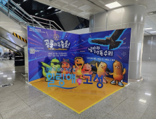 고성 관광의 매력을 알린다