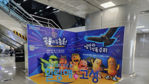 고성 관광의 매력을 알린다