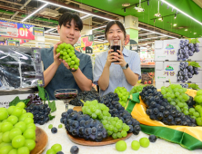‘8월 8일 포도데이’ 맞아 제철 포도 드세요