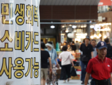 “가맹점인데 왜 결제가 안돼죠”...소비쿠폰 사용 ‘혼란’