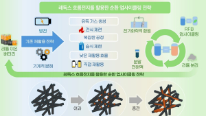 [쿠키과학] '폐 이차전지를 고전압 전지로'… 지질자원연, 친환경 업사이클링 공정 개발