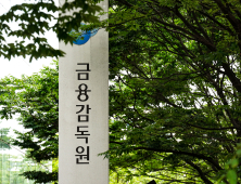 금감원 “전쟁·관세 등 불확실성 속 원자재 ETP 투자 유의”