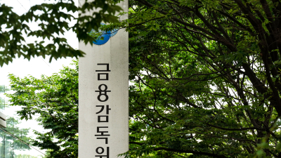 금감원 “전쟁·관세 등 불확실성 속 원자재 ETP 투자 유의”