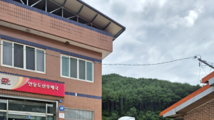 안동시 ‘안부살핌 서비스’ 덕분에 생명 구조…우편 배달이 생명줄 됐다