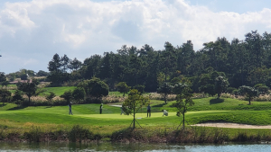 LPGA투어 10월 해남 파인비치서 개최
