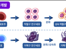 식약처, ‘세포 기반 인공혈액’ 첨단바이오의약품 분류