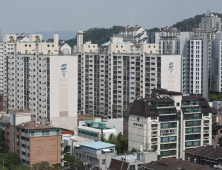 6·27 대출 규제 후 서울 아파트 거래 절반은 9억원 이하