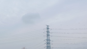 안산시, 반달섬~대부도 방아머리 뱃길 13일 첫 운항…관광활성화 기대