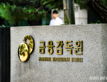 금감원, 베트남 금융당국과 자본시장 교류 강화