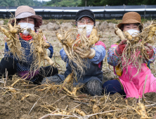 영주 풍기인삼 농업, 국가중요농업유산 등재 현장조사 진행