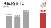 한주 새 2조 늘어난 가계대출...이유는