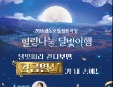 안동호반 달빛야행 ‘팡파르’