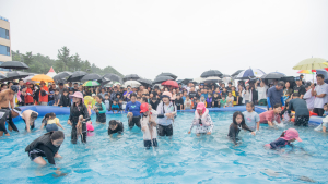 강원 고성군 아야진해변 피문어 맨손잡기 축제 '성황'