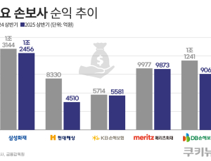 대형 손보사, 손해율 악화에 순익 줄줄이 감소