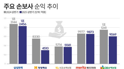 대형 손보사, 손해율 악화에 순익 줄줄이 감소