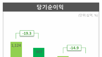 DB손보, 상반기 당기순익 9069억원…전년비 19.3% 감소