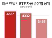 파킹형ETF가 뭐길래?...답답한 주식시장서 ‘인기’