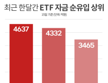 파킹형ETF가 뭐길래?...답답한 주식시장서 ‘인기’