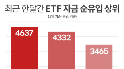 파킹형ETF가 뭐길래?...답답한 주식시장서 ‘인기’