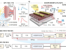 [쿠키과학] 역광 등 극단적 밝기변화 자동 적응 '차세대 이미지센서' 개발