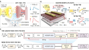 [쿠키과학] 역광 등 극단적 밝기변화 자동 적응 '차세대 이미지센서' 개발