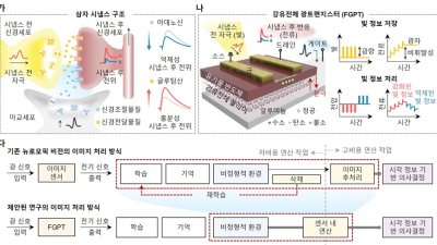 [쿠키과학] 역광 등 극단적 밝기변화 자동 적응 '차세대 이미지센서' 개발