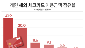 여행객 잡아라...카드사, 해외 결제 시장 각축