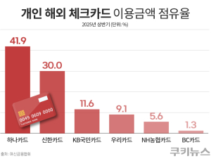 여행객 잡아라...카드사, 해외 결제 시장 각축