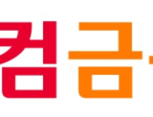 웰컴금융 대부업체 해킹 공격…“유출 확인되면 적극 대응”