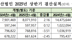 코스피 상장사, 올 상반기 영업이익률  7.24%...전년비 0.69%p↑