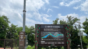 금호강 르네상스 첫 결실…대구시, ‘안심 탐방로’ 21일 준공