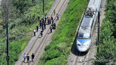 '2명 사망' 청도 열차사고 여파, 최대 1시간 운행 지연