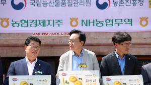 나주배 올 첫 미국행…원항배 110톤 선적