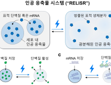 [쿠키과학] 
