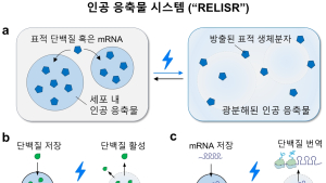 [쿠키과학] 