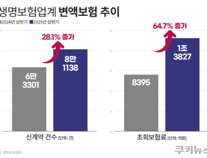 상반기 변액보험 급증…하반기에도 열기 이어질까