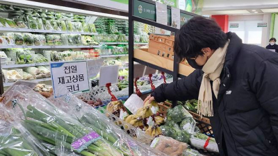 한달새 171% 뛴 ‘시金치’…폭염·폭우에 물가 ‘들썩’