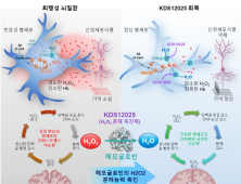 [쿠키과학] 헤모글로빈 항산화 기능, '퇴행성 뇌질환' 치료한다