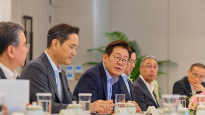 李대통령 첫 방미에 경제사절단 최소 16명 동행…이재용·최태원 등 대기업 총수 총출동