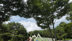 청정 강원 정선에서 ‘반려동물과의 동침’