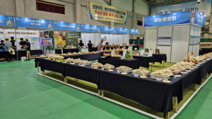 영천시, 대한민국 마늘 산업의 심장을 꿈꾸다