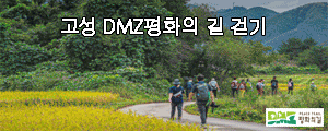 250602 ~ 0701 강원_고성DMZ평화의길 걷기