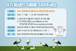 250707 ~ 0724 경남_김해시청 아기황새