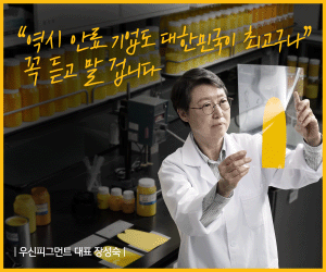 KB금융지주 300*250